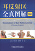 

耳反射区全真图解（中英文对照版）