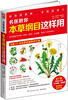 

名医教你本草纲目这样用