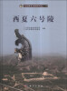 

宁夏文物考古研究所丛刊（24）：西夏六号陵