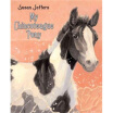 

My Chincoteague Pony