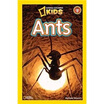 

Ants