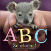 

Abc Zooborns
