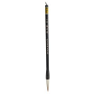 

Wu Jingsheng trumpet wolf pen pen