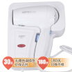 

Kangfu KF-3073 Wall-mounted hair dryer white