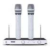 

Victory TAKSTAR TS-6720 Wireless Microphone One-to-Two-Family KTV Conference Stage Performance Dedicated Karaoke Steady Fine High-quality Wireless Microphone Ivory White