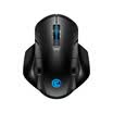 GameSir Geish Chicken GM300 Wireless Gaming Mouse Eat Chicken Mouse Jedi Survival E-sports Computer Mouse Black