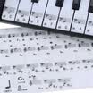 Transparente 49 61 Key Electronic Keyboard 88 Key Piano Note Note Sticker para teclas blancas