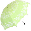 Joy Collection Heaven Umbrella Princess Black Silk Cloth Package Wave Edge Three Fold Mushroom Sunny Sun Fruit Green 33235E joy collection kopen in de aanbieding Joy Collection Heaven Umbrella Princess Black Silk Cloth Package Wave Edge Three Fold Mushroom Sunny Sun Fruit Green 33235E joy collection kopen in de aanbieding