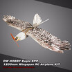 DW HOBBY Biomimetic Eagle EPP Mini Slow Flyer 1200mm Wingspan RC Airplane KIT