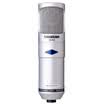 Victory TAKSTAR CM-400-L narrative recording condenser microphone computer network K song host recording professional microphone silver