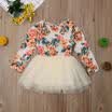 Baby Girl Kid Party Tutu Lace Vestido floral de manga larga Boda Cumpleaños Princesa