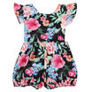 Duopindun Us Stock Newborn Toddler Baby Girl Clothes Floral Romper Bodysuit Outfits 0 24M duopindun kopen in de aanbieding Duopindun Us Stock Newborn Toddler Baby Girl Clothes Floral Romper Bodysuit Outfits 0 24M duopindun kopen in de aanbieding
