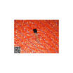 Cazenoveyi Free Shipping 50Pcs Transistor C1815 To 92 Package 200Pcs cazenoveyi kopen in de aanbieding Cazenoveyi Free Shipping 50Pcs Transistor C1815 To 92 Package 200Pcs cazenoveyi kopen in de aanbieding