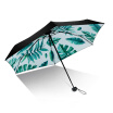 Joy Collection Irain Umbnella Sunscreen Pocket Umbrella Ultra Light Folding Uv Sunny Sun Five Umbrellas Tropical Rain Forest joy collection kopen in de aanbieding Joy Collection Irain Umbnella Sunscreen Pocket Umbrella Ultra Light Folding Uv Sunny Sun Five Umbrellas Tropical Rain Forest joy collection kopen in de aanbieding