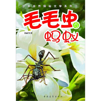 

毛毛虫与蚂蚁