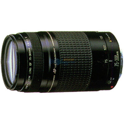 

Canon (Canon) EF 70-200mm F / 4L IS USM телеобъектив зум-объектив