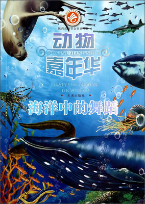 

动物嘉年华：海洋中的舞蹈