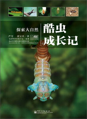 

探索大自然：酷虫成长记