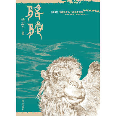 

骆驼
