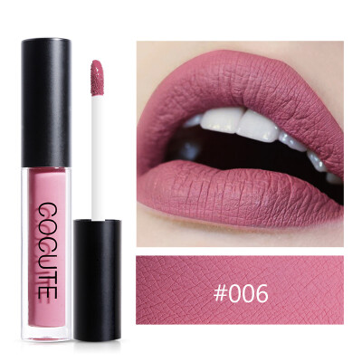 

9 Colors Matte Lipstick Moisturizing Waterproof Non-Stick Cup Liquid Lip stick Makeup Sexy Cosmetics