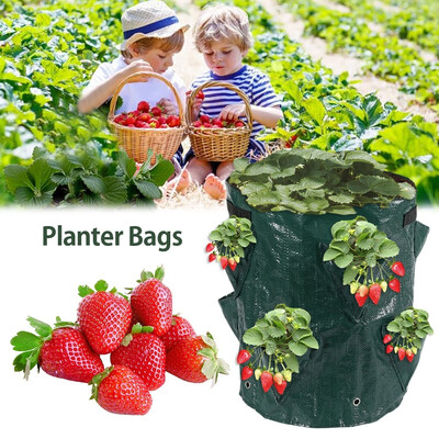 

Potato Strawberry Planter Bags for Growing Potatoes Outdoor Vertical Garden Planting Grow Bag Strawberry Plants Pot
