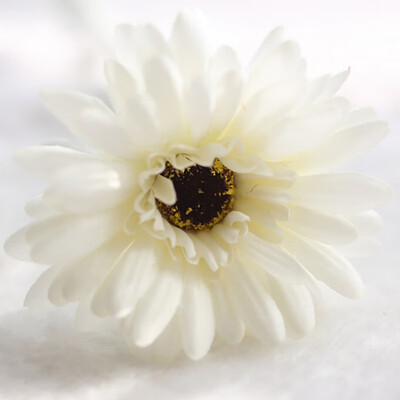 

1Pcs fake artificial flowers African chrysanthemum flowers wedding flower silk flower Home Decoration Accessories flores
