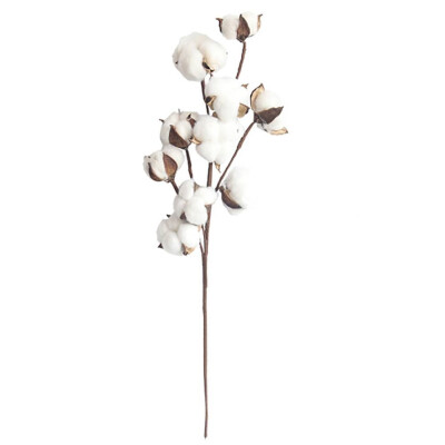 

Naturally 10 Head Dried Cotton Flower Artificial Plants Floral Branch For Wedding Party Decoration Fake Flowers Home Decor