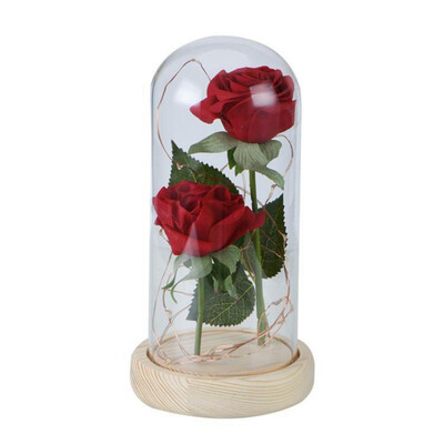 

Double Rose Beauty&the Beast Red Rose LED Light String Gift Women Girls Birthday Valentines Day Mothers Day Gifts