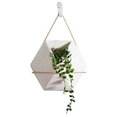 

Hanging Planter Ceramic Air Planter Pot Floating Wall Hanging Planter Container Vase for Flower Succulent Herb Cactus Plant Holder