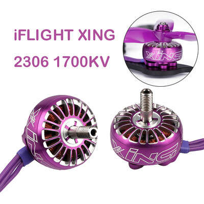 

Tailored 2Pcs iFlight XING 2306 1700KV Brushless Motor 2-4S For FPV RC Drone