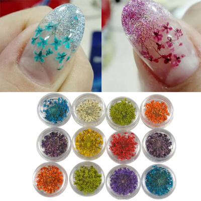

Gobestart 12 Colors 3D Decoration Real Dry Dried Flower For UV Gel Acrylic Nail Art Tips