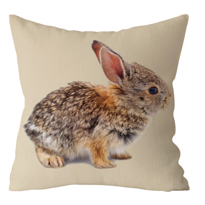 

〖Follure〗Easter Rabbit Print Pillow Case Polyester Sofa Car Cushion Cover Home Decor