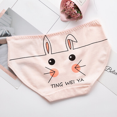 

2019 Womens Summer New Fashion Design Mid Rise Seamless Cotton Underwear Briefs Cartoon Print Cute Lingerie Ladies Underpants