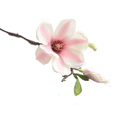 

JPGIF Artificial Fake Flowers Leaf Magnolia Floral Wedding Bouquet Party Home Decor