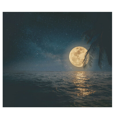 

Toponeto Wall Hanging Tapestry Wall Bedspread Beach Towel Mat Blanket Table