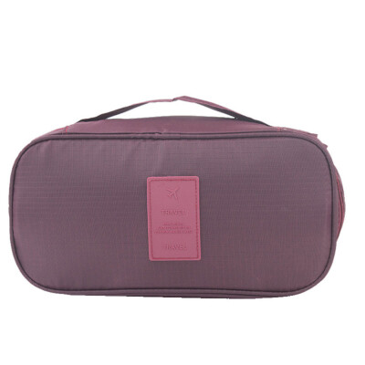 

Toponeto Waterproof Portable Protect Bra Underwear Lingerie Case Travel Organizer Bag
