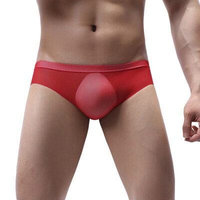 

Tailored Mens Mesh Low Waist Underwear Soft Breathable Knickers Short Sexy Briefs