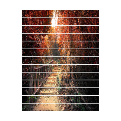 

Creative 3D DIY Maple Trail Wall Stickers Stair Decoration Ceramic Tiles Pattern for Room Home Decor Floor Sticker