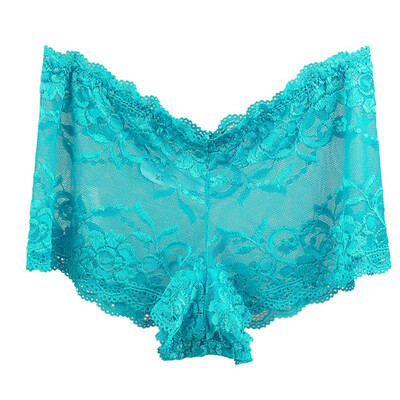 

Summer Low Waist Thin Lace Panties Plus Size Women Underwear Intimates Briefs