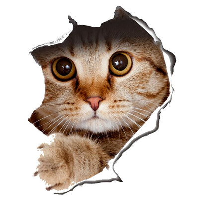 

Cat Vivid 3d Smashed Switch Wall Sticker Bathroom Toilet Kitchen Decorative Decals Funny Animals Decor Poster Pvc Mural Art