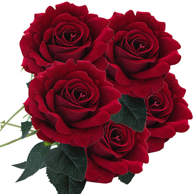 

Siaonvr 5 Pcs Artificial Silk Fake Flowers Rose Flower Wedding Bouquet Home Decor A