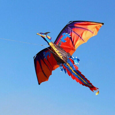 

3D Dinosaur Kite Single Line With Tail Family Outdoor Sports Toy Children Kids