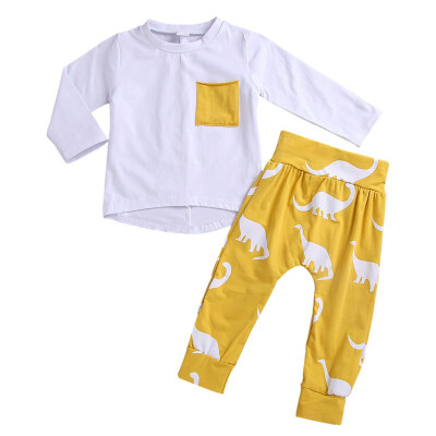 

2PCS Toddler Baby Boys Girls Dinosaur Long Sleeve T-Shirt Tops Legging Pants Set Kids Fall Outfits Clothes