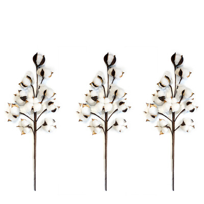 

3 Bunches Natural Dried Cotton Stems Farmhouse Style Artificial Cotton Plants Flower DIY for Home Wedding Party Decoration Wreat