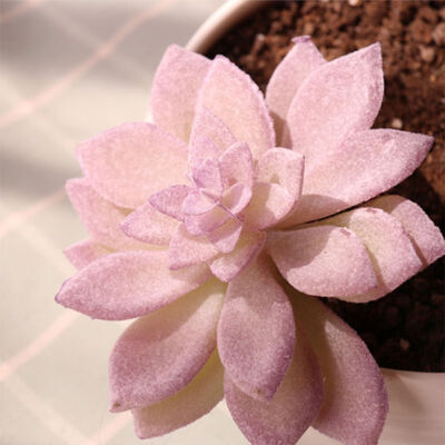 

UpperX 5x Artificial Succulents Plants Wall DIY Home Decoration