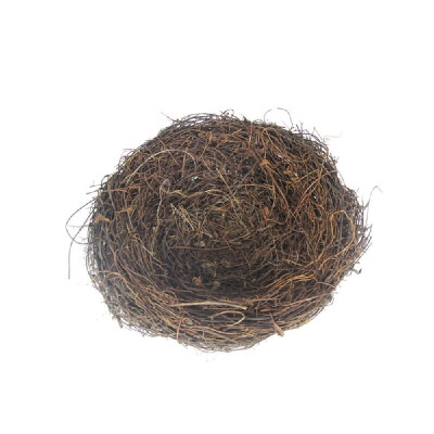 

Garden Decoration DIY Foam Birds Eggs Mini Cute Birds Nest Easter Decor for Home Decor Simulation Craft