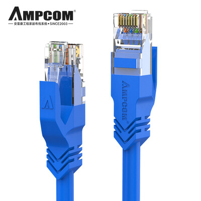 

AMPCOM 6 Category Gigabit Ethernet Cable 1 Meter CAT6 Oxygen-free Copper Twisted Pair RJ45 Network Jumper Computer Broadband Cable 10 Pack AMC610BU10 Blue