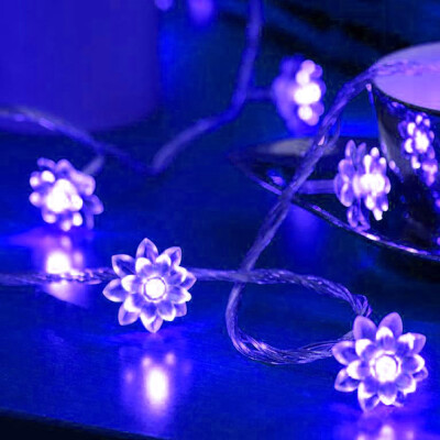 

Willstar Solar Powered Garden Fairy String Lights 50 LED Flower Decor Lamp Waterproof