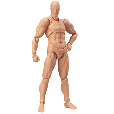 

Willstar Movable Body Articulated Action Figure Artistic Anime Painting Mannequin Sketch Drawing Human Body