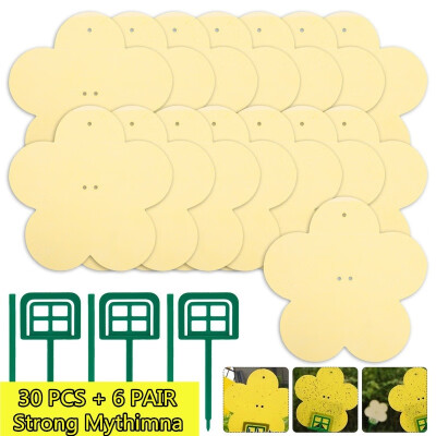 

30155 Pcs Strong Flies Traps Bugs Sticky Board Catching Aphid Insects Pest Killer